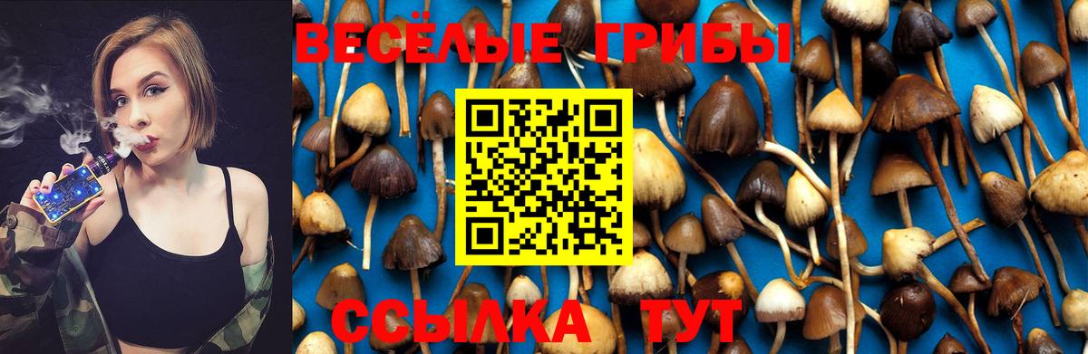 Галлюциногенные грибы Psilocybine cubensis Усть-Илимск